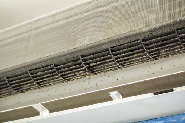 Best Professional Duct Cleaning Services  in Hobart, WI